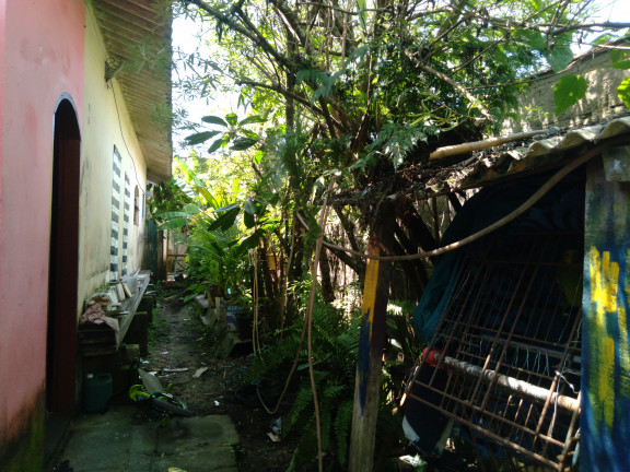 Imagem Imóvel com 3 Quartos à Venda, em Umuarama - Itanhaém Imagem Imóvel com 3 Quartos à Venda, em Umuarama - Itanhaém