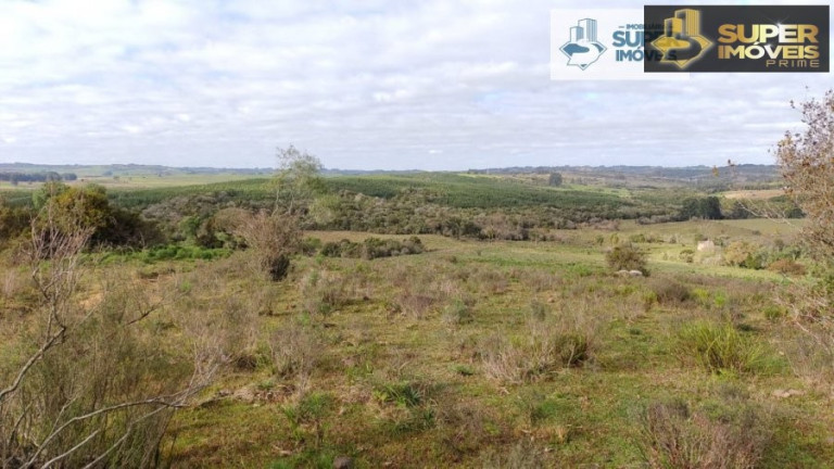 Imagem Imóvel com 2 Quartos à Venda, 580.000 m² em Centro - Canguçu