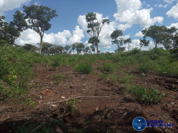 Imagem Fazenda à Venda, 195 m² em Zona Rural - Ribeirão Cascalheira Imagem Fazenda à Venda, 195 m² em Zona Rural - Ribeirão Cascalheira