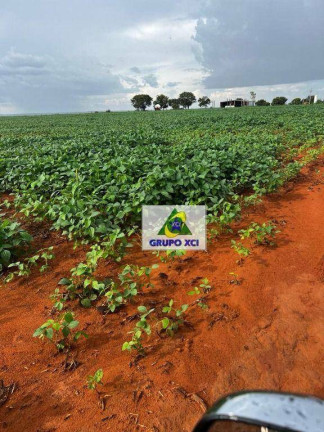 Imagem Fazenda à Venda, 3.388.000 m² em Zona Rural - Ponte Alta Do Tocantins Imagem Fazenda à Venda, 3.388.000 m² em Zona Rural - Ponte Alta Do Tocantins