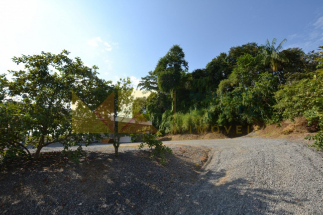 Imagem Galpão para Alugar, 1.519 m² em Velha - Blumenau