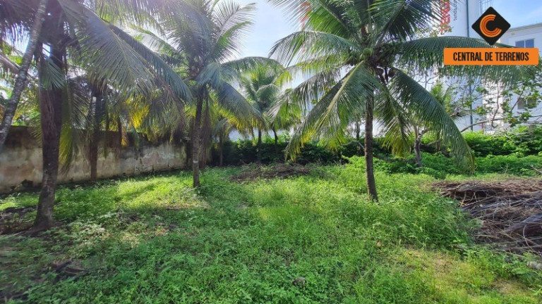 Imagem Terreno à Venda, 4.300 m² em Abrantes - Camaçari Imagem Terreno à Venda, 4.300 m² em Abrantes - Camaçari