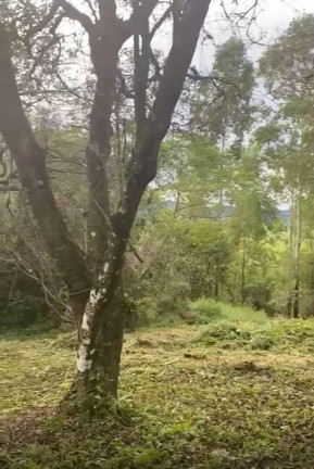 Imagem Terreno à Venda, 2 m² em Jordão (dona Lucinda) - Governador Celso Ramos Imagem Terreno à Venda, 2 m² em Jordão (dona Lucinda) - Governador Celso Ramos