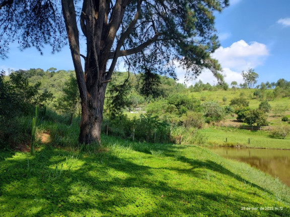 Imagem Imóvel com 3 Quartos à Venda, 160.000 m² em Centro - Atibaia Imagem Imóvel com 3 Quartos à Venda, 160.000 m² em Centro - Atibaia