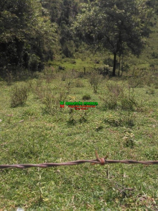 Imagem Chácara à Venda, 24.200 m² em São Francisco Xavier - São José Dos Campos Imagem Chácara à Venda, 24.200 m² em São Francisco Xavier - São José Dos Campos