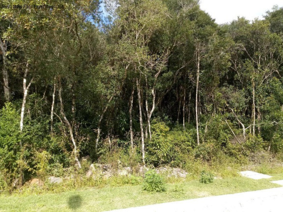 Imagem Terreno à Venda, 369 m² em Linha Imperial - Nova Petrópolis Imagem Terreno à Venda, 369 m² em Linha Imperial - Nova Petrópolis