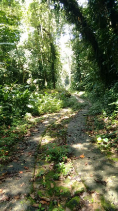 Imagem Terreno à Venda, 300.000 m² em Maresias - São Sebastião