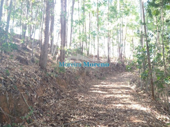 Imagem Imóvel à Venda, 9.000 m² em Zona Rural - Borda Da Mata Imagem Imóvel à Venda, 9.000 m² em Zona Rural - Borda Da Mata