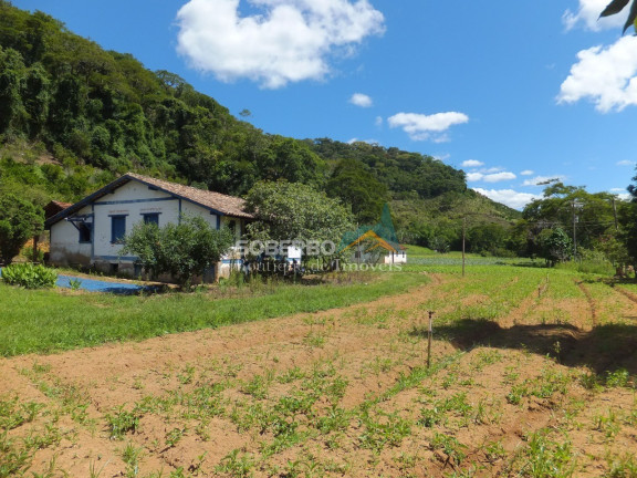 Imagem Imóvel com 4 Quartos à Venda, 1.016.400 m² em Providência - Teresópolis Imagem Imóvel com 4 Quartos à Venda, 1.016.400 m² em Providência - Teresópolis