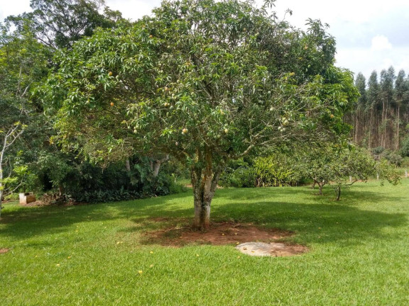 Imagem Chácara com 2 Quartos à Venda, 10 m² em Cerrado - Alambari Imagem Chácara com 2 Quartos à Venda, 10 m² em Cerrado - Alambari
