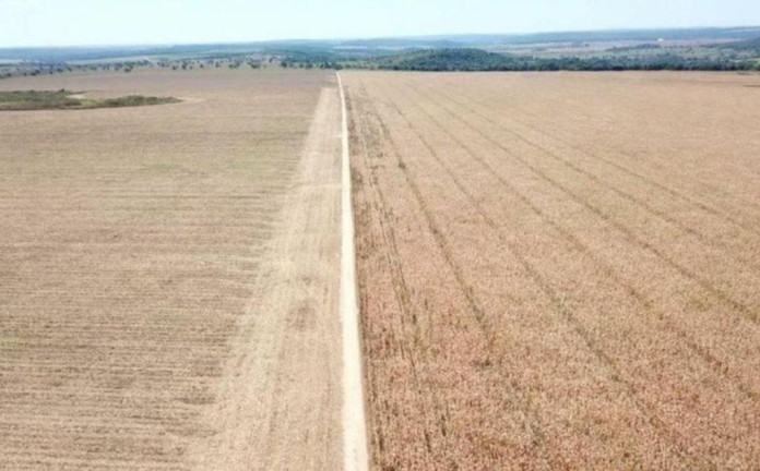 Imagem Imóvel à Venda, 16.115 m² em área Rural De Porto Alegre Do Norte - Porto Alegre Do Norte Imagem Imóvel à Venda, 16.115 m² em área Rural De Porto Alegre Do Norte - Porto Alegre Do Norte