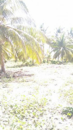 Imagem Terreno à Venda, 2 m² em São Cristóvão - Salvador