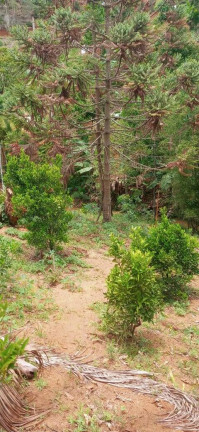 Imagem Chácara à Venda, 30.000 m² em Santa Maria De Marechal - Marechal Floriano