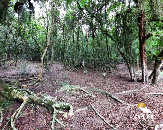 Imagem Imóvel com 4 Quartos à Venda, 20.000 m² em águas Claras - Viamão