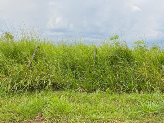 Imagem Fazenda à Venda, 532 m² em Rural - Jales