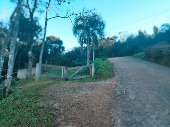 Imagem Terreno à Venda, 2.800 m² em Borghetto - Garibaldi