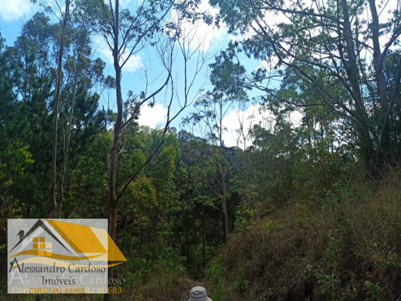 Imagem Terreno à Venda, 20.000 m² em Rio Grande De Cima - Nova Friburgo Imagem Terreno à Venda, 20.000 m² em Rio Grande De Cima - Nova Friburgo