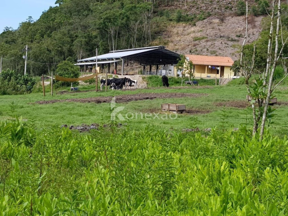 Imagem Fazenda à Venda, 90 m² em Centro - São Luíz Do Paraitinga Imagem Fazenda à Venda, 90 m² em Centro - São Luíz Do Paraitinga