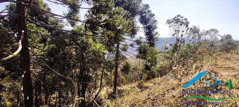 Imagem Chácara à Venda, 49 m² em Centro - Gonçalves