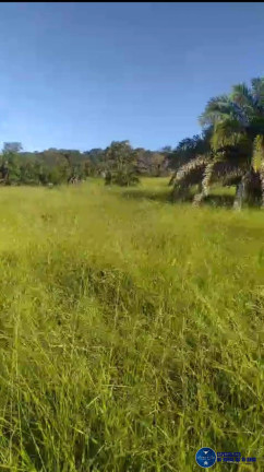 Imagem Chácara à Venda, 14 m² em Zona Rural - Itapuranga Imagem Chácara à Venda, 14 m² em Zona Rural - Itapuranga