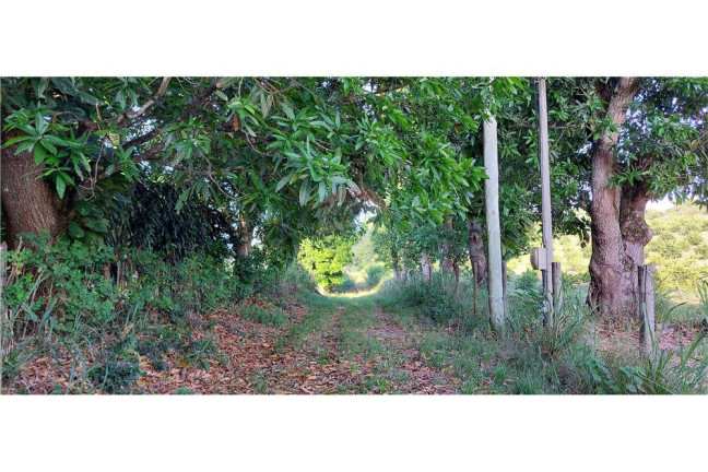 Imagem Imóvel à Venda, 200.000 m² em Bacaxa - Saquarema