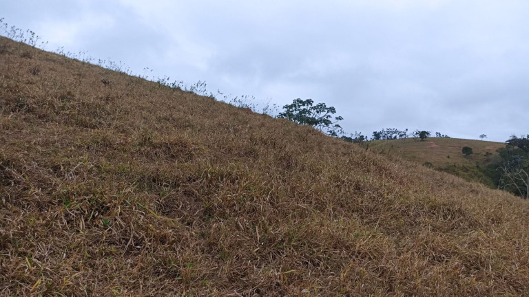 Imagem Chácara com 2 Quartos à Venda, 250 m² em Centro - Paraibuna