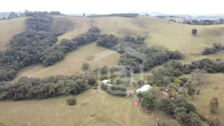 Imagem Imóvel com 2 Quartos à Venda, 29 m² em Pessegueiros - Campestre Imagem Imóvel com 2 Quartos à Venda, 29 m² em Pessegueiros - Campestre