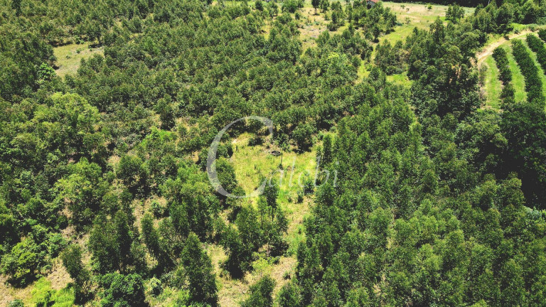 Imagem Chácara à Venda, 4 m² em área Rural De Mogi Guaçu - Mogi Guaçu Imagem Chácara à Venda, 4 m² em área Rural De Mogi Guaçu - Mogi Guaçu