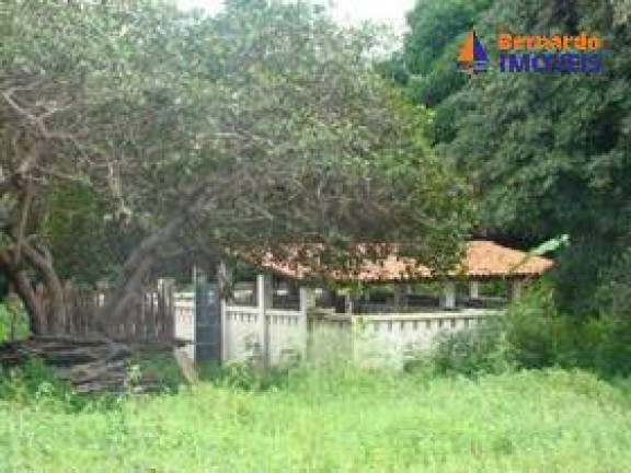 Imagem Chácara com 3 Quartos à Venda, 170 m² em Sitio Prata - Cascavel Imagem Chácara com 3 Quartos à Venda, 170 m² em Sitio Prata - Cascavel