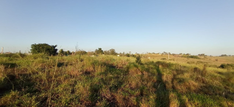 Terreno à Venda, 30.000 m² em Jardim Santana - Jacareí