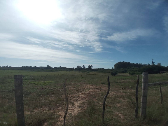 Imagem Chácara com 2 Quartos à Venda, 20.000 m² em águas Claras - Viamão Imagem Chácara com 2 Quartos à Venda, 20.000 m² em águas Claras - Viamão