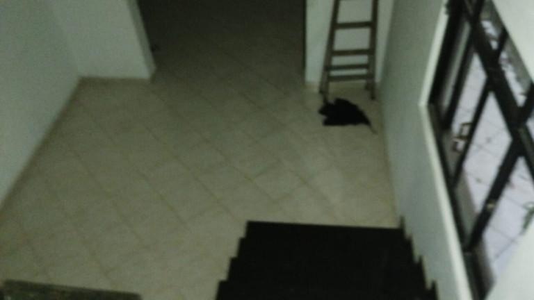 Imagem Sobrado com 3 Quartos para Alugar, 200 m² em Dos Casa - São Bernardo Do Campo