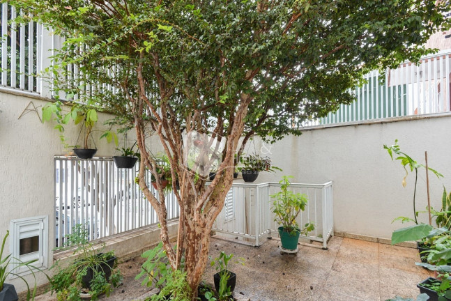 Imagem Casa com 3 Quartos à Venda, 200 m² em Ipiranga - São Paulo Imagem Casa com 3 Quartos à Venda, 200 m² em Ipiranga - São Paulo