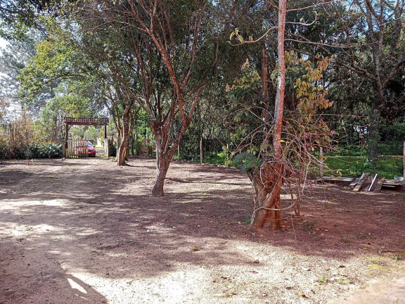 Imagem Chácara com 3 Quartos à Venda, 1.600 m² em águas Claras - Viamão