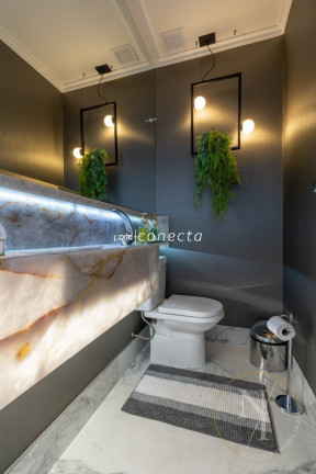 Imagem Apartamento com 4 Quartos à Venda, 265 m² em Vila Regente Feijó - São Paulo