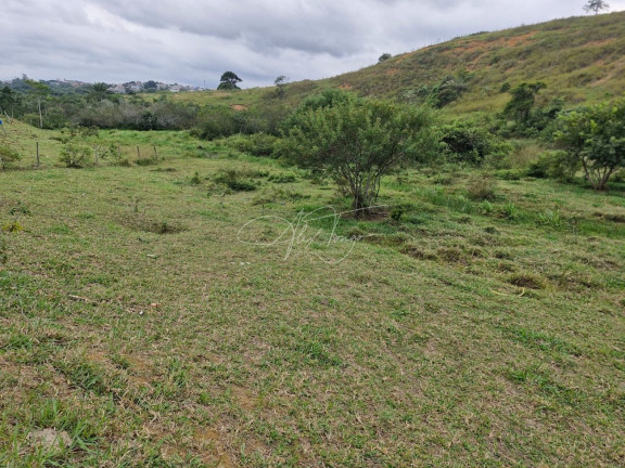 Imagem Terreno à Venda ou Locação, 5.000 m² em Santo Antônio - Serra