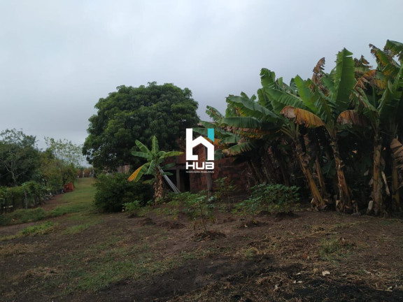 Imagem Imóvel com 3 Quartos à Venda, 1.500 m²