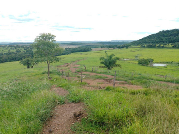 Imagem Chácara à Venda, em Cuiabá Imagem Chácara à Venda, em Cuiabá