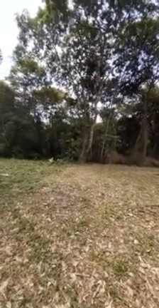 Imagem Terreno em Condomínio à Venda, 925 m² em Aldeia Dos Camarás - Camaragibe Imagem Terreno em Condomínio à Venda, 925 m² em Aldeia Dos Camarás - Camaragibe