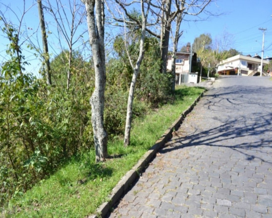 Imagem Imóvel à Venda, 440 m² em Santa Corona - Caxias Do Sul Imagem Imóvel à Venda, 440 m² em Santa Corona - Caxias Do Sul