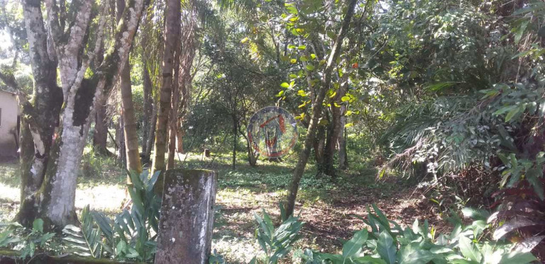 Imagem Fazenda à Venda, 5.000 m² em San Marcos - Itanhaém Imagem Fazenda à Venda, 5.000 m² em San Marcos - Itanhaém