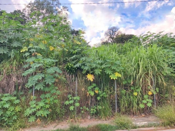 Imagem Terreno à Venda, 780 m² em Jardim Rebelato - Cotia Imagem Terreno à Venda, 780 m² em Jardim Rebelato - Cotia