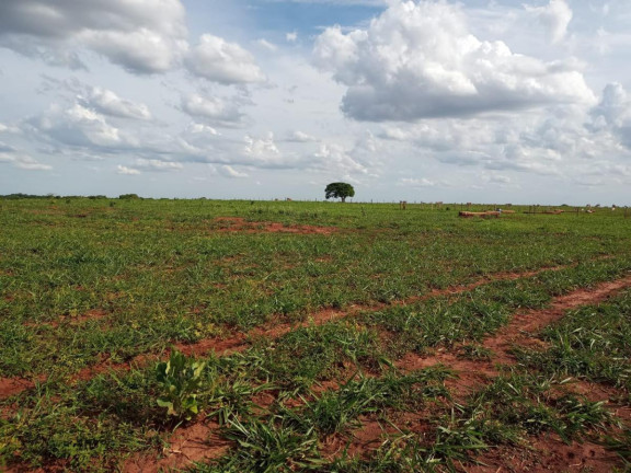 Fazenda à Venda, 2.027 m² em Rural - Campo Grande