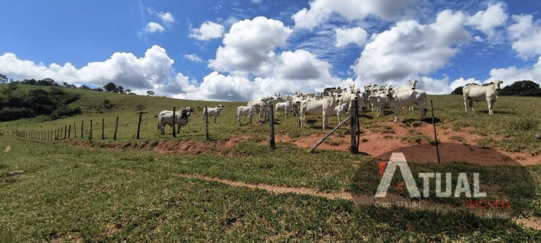 Imagem Chácara com 4 Quartos à Venda, 470 m² em Piracaia - Piracaia