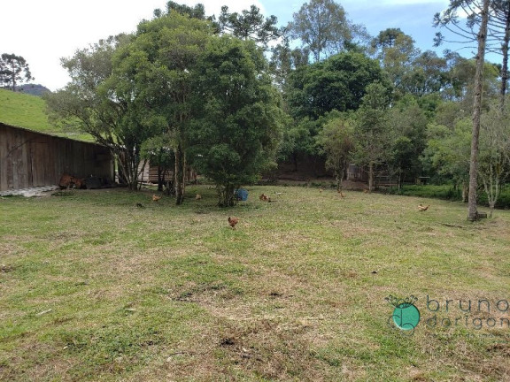 Imagem Imóvel com 3 Quartos à Venda, 350.000 m² em Zona Rural - Bom Retiro Imagem Imóvel com 3 Quartos à Venda, 350.000 m² em Zona Rural - Bom Retiro