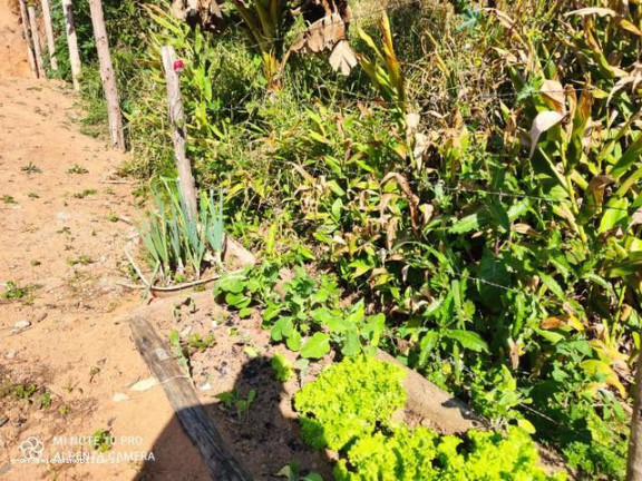 Imagem Chácara à Venda, em Bairro Do Paruru - Ibiúna Imagem Chácara à Venda, em Bairro Do Paruru - Ibiúna
