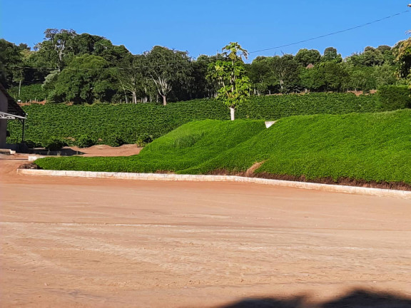 Imagem Fazenda à Venda, 26 m² em Naviraí Imagem Fazenda à Venda, 26 m² em Naviraí