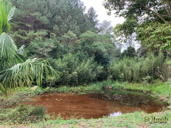 Imagem Chácara com 2 Quartos à Venda, 5.000 m² em Capinzal - Guapiara Imagem Chácara com 2 Quartos à Venda, 5.000 m² em Capinzal - Guapiara