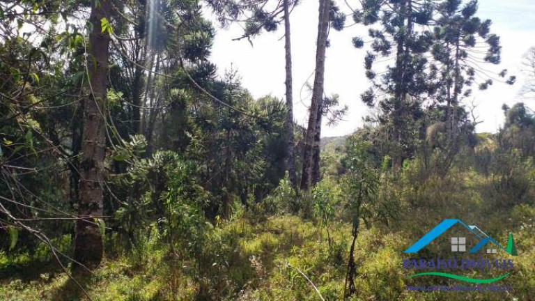 Imagem Terreno à Venda, 113.740 m² em Centro - Gonçalves