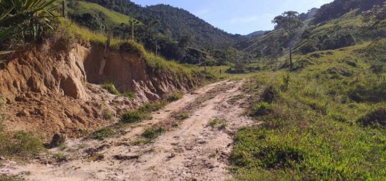 Imagem Fazenda à Venda, 726.000 m² em Tomba - Feira De Santana Imagem Fazenda à Venda, 726.000 m² em Tomba - Feira De Santana